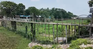 জামালপুরে বাঁশের সাঁকো দিয়ে ঝুঁকিপূর্ণ যাতায়াত, ব্যবস্থা নেয়ার আশ্বাস প্রশাসনের